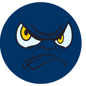 Team Page: Pin Masters